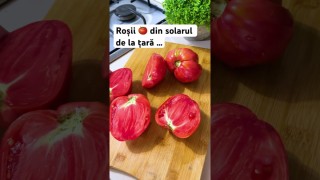 Roșii 🍅 din solarul de la țară …