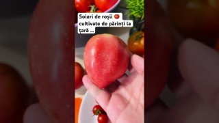 Soiuri de roșii 🍅 cultivate de părinți la țară …