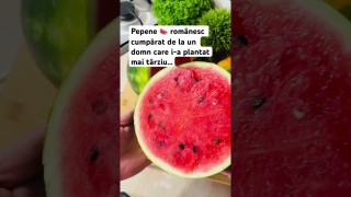 Pepene 🍉 românesc cumpărat de la un domn care i-a plantat mai târziu..