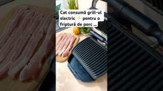 Cat consumă grill-ul electric pentru o friptură de porc …