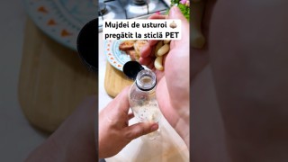 Mujdei de usturoi 🧄 pregătit la sticlă pet ….