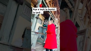 Așa a ieșit la bunici la țară …