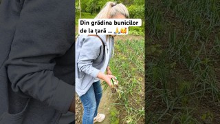 Din grădina bunicilor de la țară … 🙏🥰