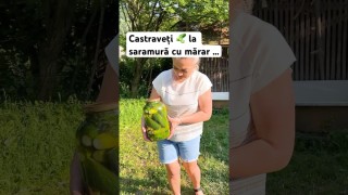 Castraveți 🥒 la saramură cu mărar …