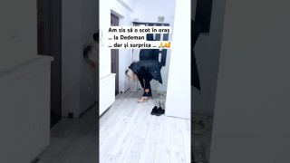 Am zis să o scot în oraș … prima oară la Dedeman dar și o surpriză … 🙏🥰
