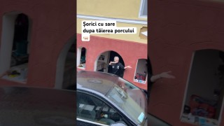 Șorici cu sare după tăierea porcului …