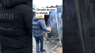 Cârnații de porc la afumat …