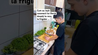 Cum au ieșit cozonacii lui David dospiți la rece, la frigider  …