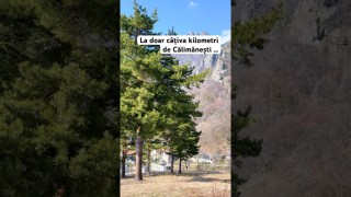 La doar câțiva kilometri de Călimănești …